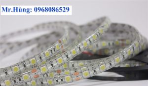 Led cuộn mắt 5054 màu trắng