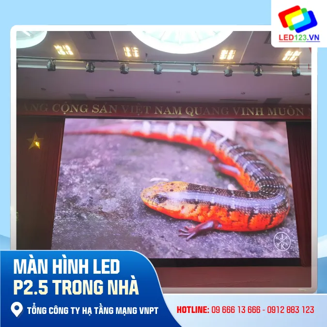 Màn hình LED P2.5 Trong Nhà